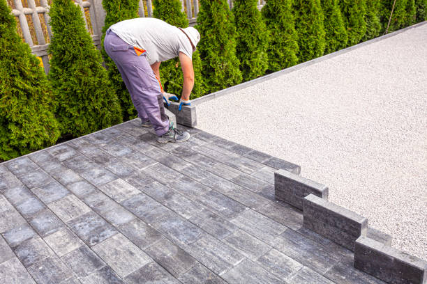 Best Driveway Paving Contractor  in Daly City, CA